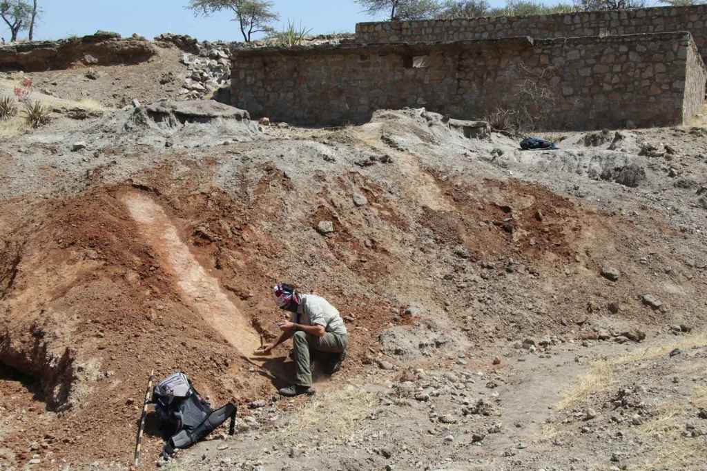 Paul Durkin, geólogo de la Universidad de Manitoba, analiza cuidadosamente las capas sedimentarias en el sitio de excavación de Engaji Nanyori