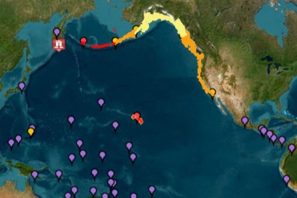 El mapa elaborado por el Sistema de Alerta de Tsunamis de la NOAA refleja la magnitud de la emergencia en el Pacífico, con zonas en alerta máxima, avisos preventivos y áreas bajo vigilancia por riesgo de olas peligrosas