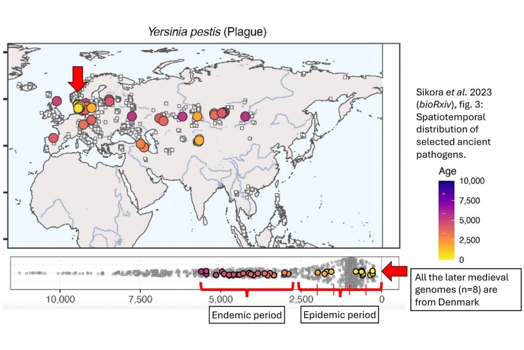 Un mapa y una línea temporal revelan la distribución geográfica y cronológica de 1313 restos humanos analizados en un estudio sobre patógenos en Eurasia, desde el Pleistoceno hasta el Holoceno tardío. Los círculos de colores marcan restos con rastros de Y. pestis, codificados según su antigüedad