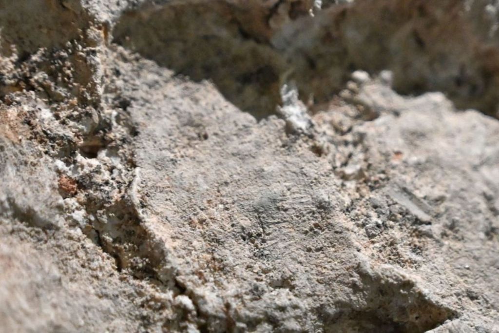 También se aprecian impresiones dactilares sobre la superficie del yeso