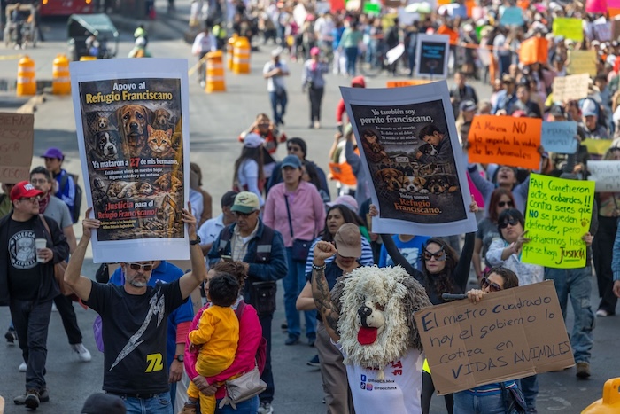 Se llevó a cabo una marcha en apoyo al Refugio Franciscano en la CdMx luego de que autoridades capitalinas intervinieron para rescatar a más de 850 perros.