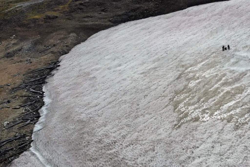 En los bordes de un parche de hielo en el Beartooth Plateau, un bosque permanece atrapado en el tiempo