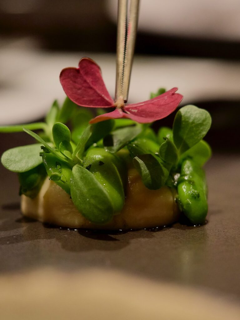 Platillo de Quintonil, el mejor restaurante de Mexico.