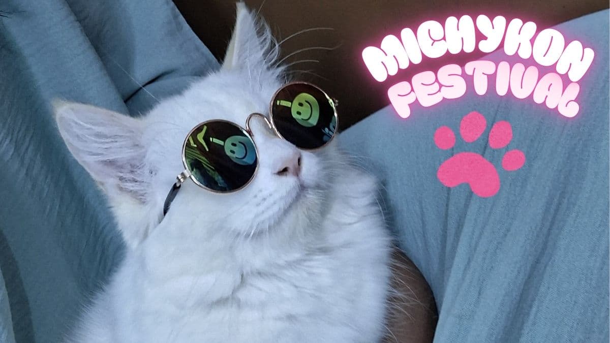 Michykon festival