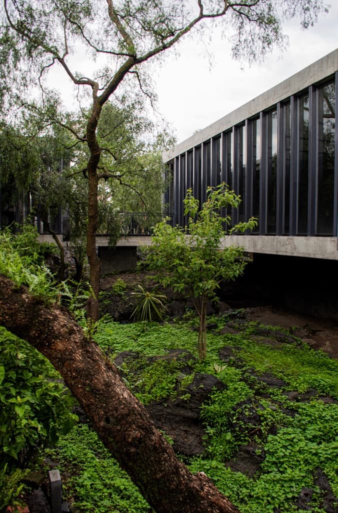 Museo Anahuacalli celebra 61 años con fiestón cultural | Foto: Museo Anahuacalli