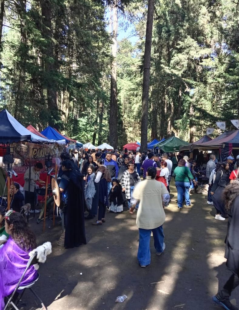 Navidad Medieval Encantada: vive la magia en Kamelot y el Castillo del Rey | Foto: Navidad Medieval 