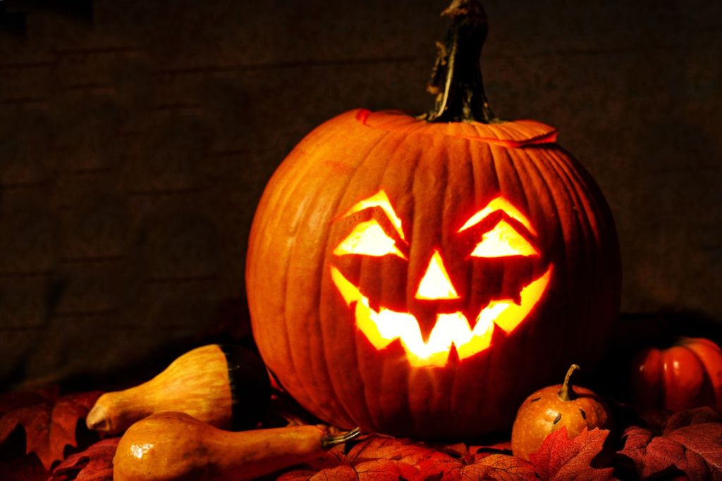La icónica calabaza de Halloween, con su rostro tallado y vela en el interior, tiene un origen mucho más antiguo y tenebroso de lo que parece
