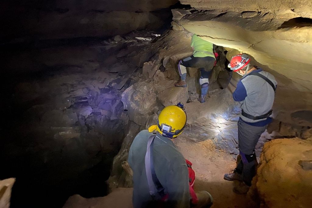 Equipo de paleontólogos se arrastra por las profundidades de Mammoth Cave en busca de fósiles