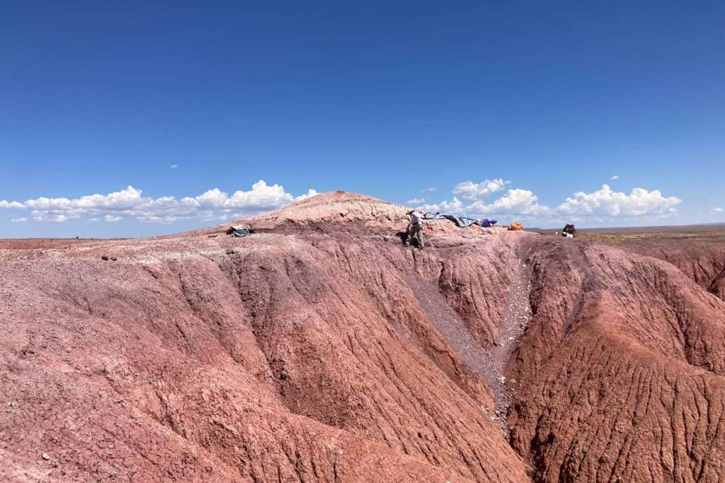 La paleontóloga Kay Behrensmeyer, del Museo Nacional de Historia Natural del Smithsonian, durante el estudio geológico de un yacimiento fósil en el Parque Nacional del Bosque Petrificado en 2023