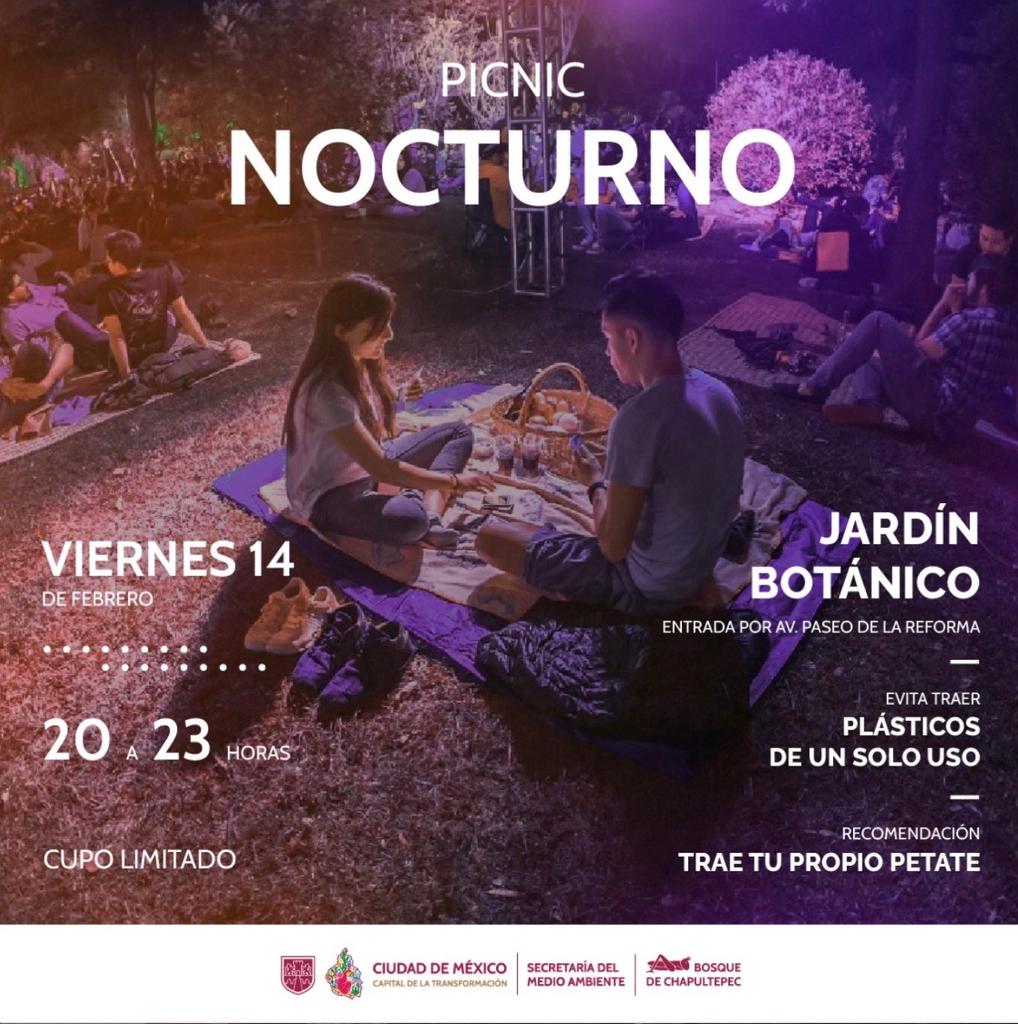 Picnic Nocturno de San Valentín en Chapultepec: Planazo romántico ¡Gratis!  | Foto: Cuartoscuro 