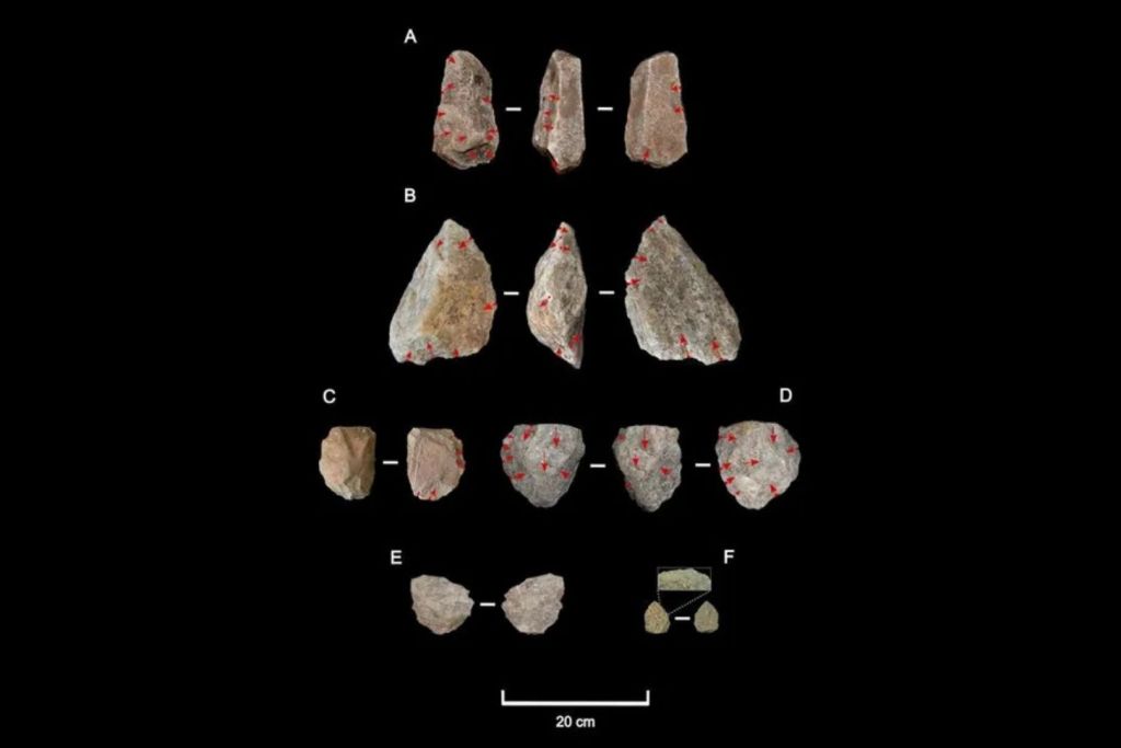 Las herramientas de piedra encontradas en Engaji Nanyori, que datan de entre 1,2 y 1 millón de años atrás, presentan un nivel de elaboración más avanzado en comparación con las de períodos anteriores y otros lugares