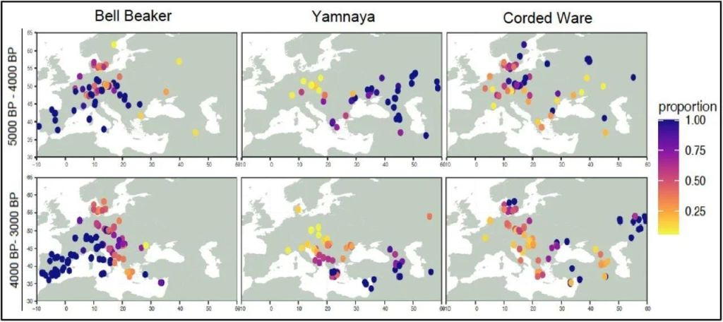 Distribución de las proporciones de ascendencia derivada de las culturas Campaniforme y Yamnaya, calculadas mediante el modelo de mezcla genética basado en IBD