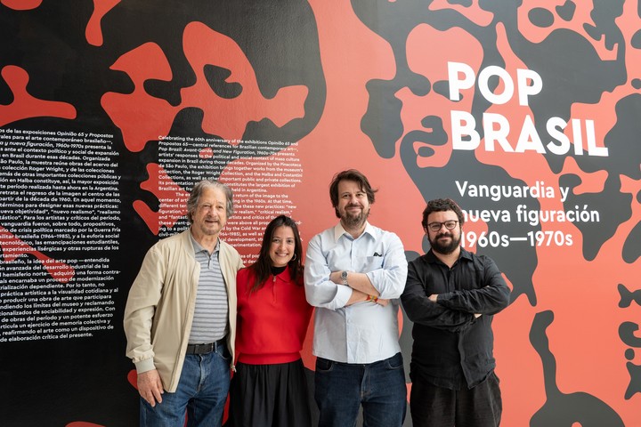 Pop Brasil: vanguardia y nueva figuración, 1960s-70s puede verse en el Malba. Foto: Alejandro Guyot, gentileza Prensa del Malba.