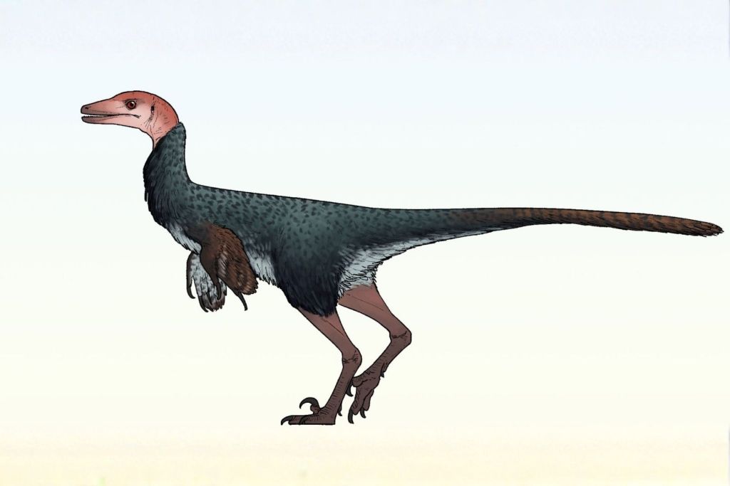 Reconstrucción en vida de Xenovenator espinosai