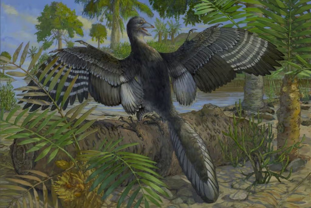 Recreación artística del Archaeopteryx en su entorno natural, mostrando las plumas terciarias que habrían sido clave para su capacidad de volar