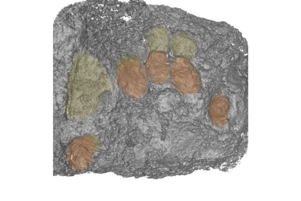 Recreación digital en 3D que muestra la posición de una mano derecha sobre el yeso: en naranja, las yemas de los dedos; en amarillo, las marcas de arrastre