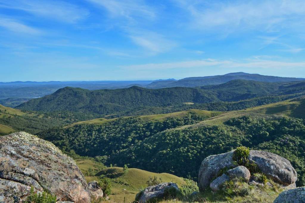 Vista de la Serra do Quiriri, en el sur de Brasil, una región de montañas, bosques nubosos y pastizales que alberga especies endémicas únicas