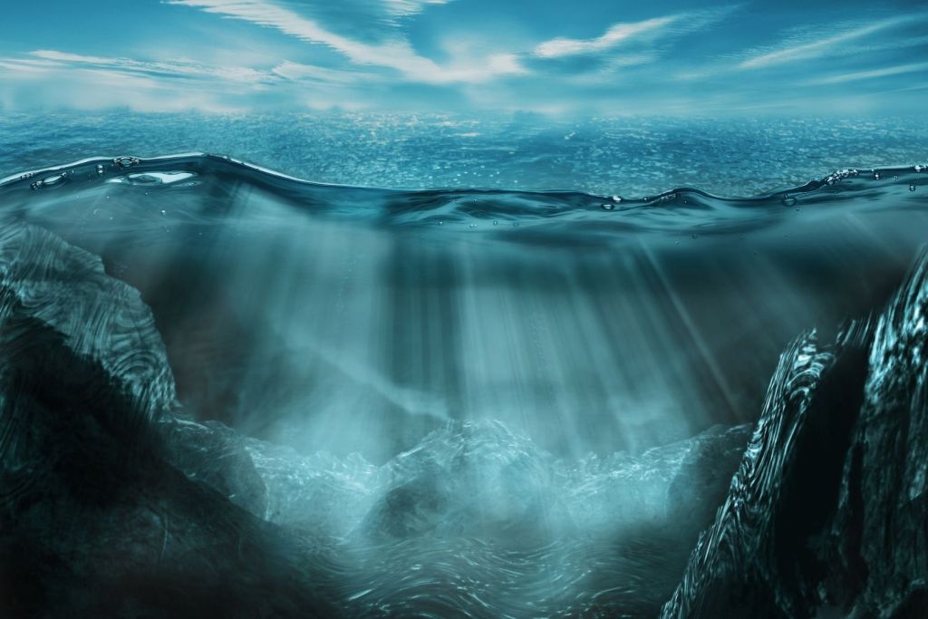 El océano no solo regula la temperatura del planeta: su biodiversidad es clave para frenar el cambio climático
