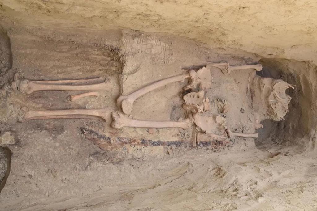 Según los arqueólogos, los restos del guerrero ávaro muestran signos evidentes de saqueo antiguo, aunque una parte considerable del ajuar funerario logró conservarse intacta