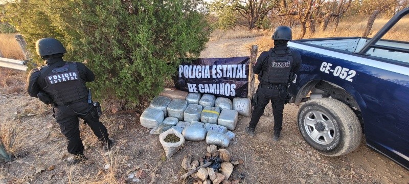 En septiembre, la Policía Estatal de Caminos localizó alrededor de 37 mil 200 plantas de aparente marihuana. ESPECIAL / Secretaría de Seguridad En septiembre, la Policía Estatal de Caminos localizó alrededor de 37 mil 200 plantas de aparente marihuana. ESPECIAL / Secretaría de Seguridad