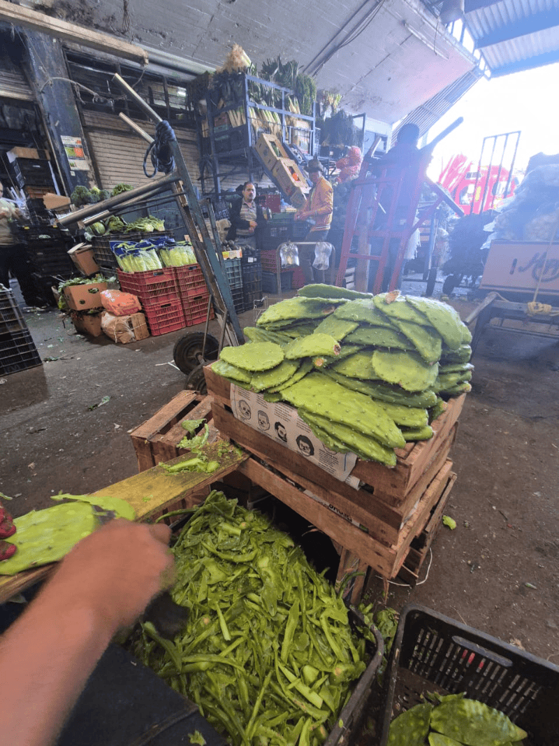 EL INFORMADOR / J. VELAZCO 