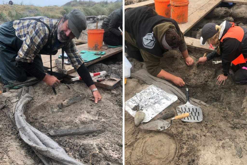 El yacimiento arqueológico en las islas Chatham