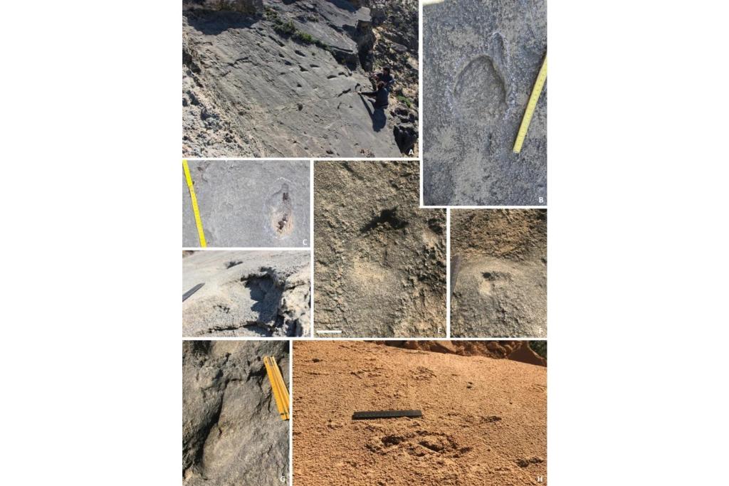 Yacimientos de huellas neandertales en el suroeste de Portugal