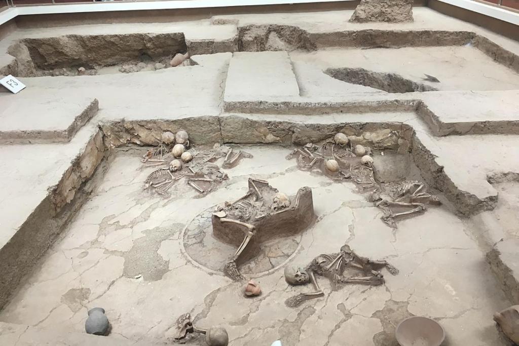 Restos óseos hallados en la vivienda F4 del yacimiento de Lajia, en China